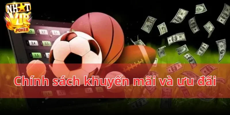 Chính sách khuyến mãi và ưu đãi